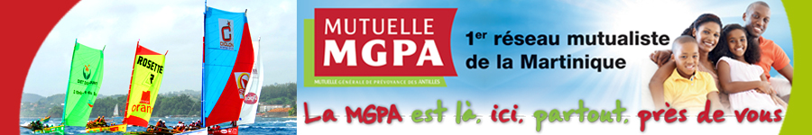 900 X 150 BANDEAUX_MGPA 2013.jpg